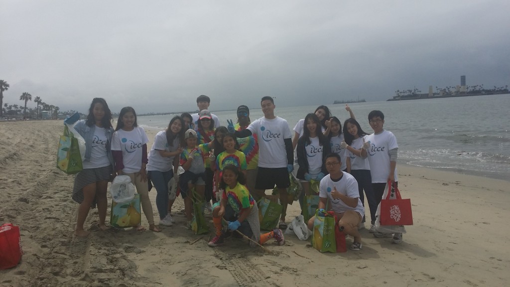 beach clean up